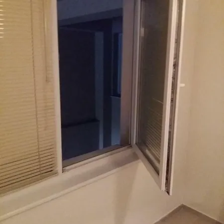 Стая * סטרה זגורה
