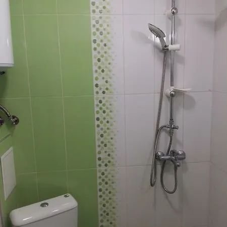 Стая סטרה זגורה